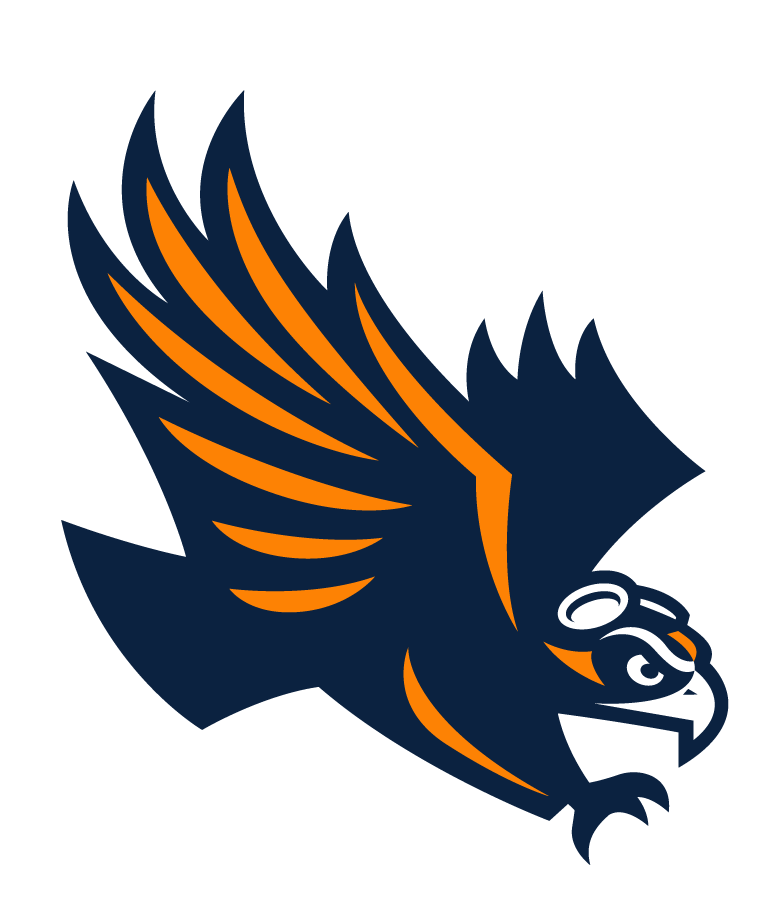 Tennessee-Martin Skyhawks 2020-Pres Secondary Logo DIY iron on transfer (heat transfer)